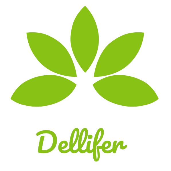 Dellifer
